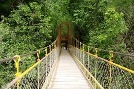 Wayanad - Coorg And Ooty Escape 5 Nights - 6 Days Tour Wayanad - Coorg And Ooty Escape 5 Nights - 6 Days Tour