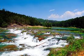 Wayanad - Coorg And Ooty Escape 5 Nights - 6 Days Tour