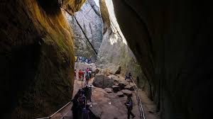 Wayanad And Ooty Adventure 4 Nights - 5 Days Tour