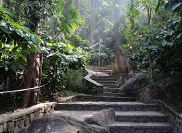 Wayanad Escape 2 Nights - 3 Days Tour