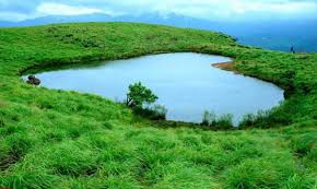 Wayanad and Ooty Tour 3 Nights - 4 Days
