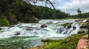 Wayanad and Ooty Tour 3 Nights - 4 Days