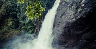 Wayanad Getaway 1 Night - 2 Days Tour