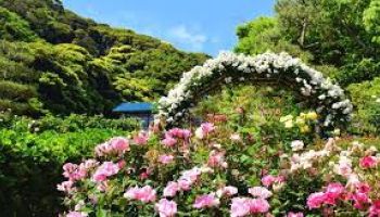 2 Nights 3 Days Ooty Tour Package