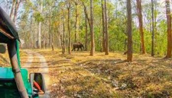 EXCLUSIVE WAYANAD LUXURY ESCAPE