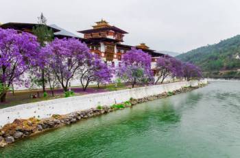 Bhutan Tour Package