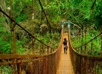 Dirang Tour Packages