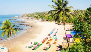 North Goa Tour Packages