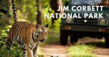 1N - 2D Amazing Jim Corbett Tour Package