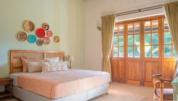 Arpora Tour Packages