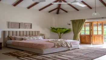 Arpora Tour Packages