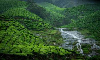 2N/3D Munnar Tour Package