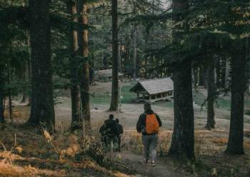 Jibhi Tirthan Valley Trip Package Form Delhi 3 Nights 4 Days