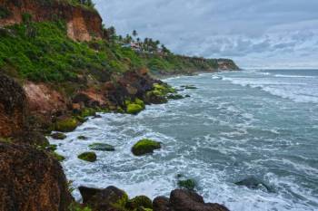 Thekkady Tour Packages