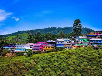 Munnar , Thekkady & Allepey Tour Package  4 Night / 5 Days