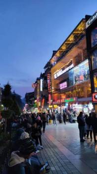 Manali Delight Tour Package – 3 Nights / 4 Days