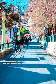 Bhimtal Tour Packages