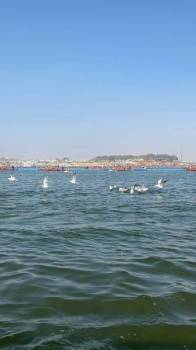 Ayodhya – Prayagraj – Varanasi Divine Tour from Mumbai (3 Nights / 4 Days)