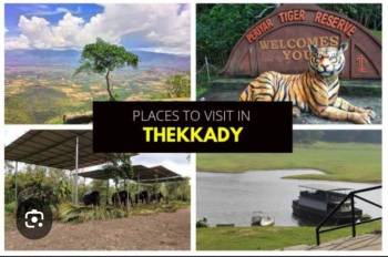 4N5D Kerala Package