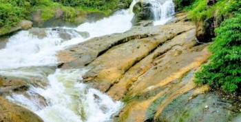 Thekkady Tour Packages