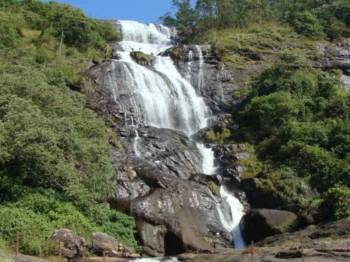 Thekkady Tour Packages