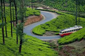 3N 4D Kerala Package Munnar - Vagamon