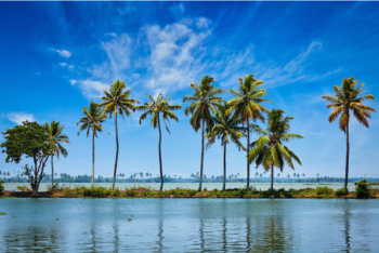 Getaway To Kerala 5 Night - 6 Days Tour