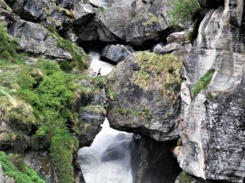 2N 3D Badrinath Ek Dham Yatra Tour Ex - Haridwar