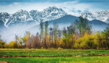 Jammu - Srinagar Tour Package 6N - 7D