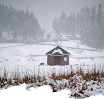 Kashmir Tour 5 Nights 6 Days