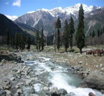 Magic Of Kashmir 5 Nights And 6 Days Tour