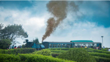 Darjeeling 2N - 3D Tour Package