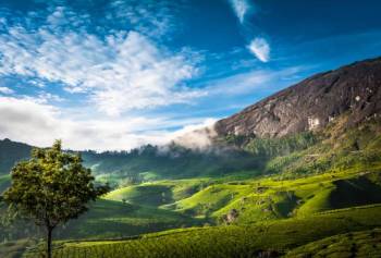Colourful Kerala 5 Nights - 6 Days Tour