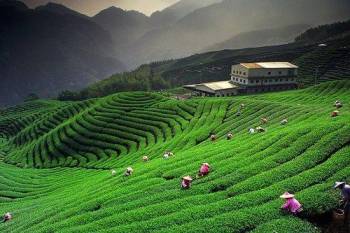 Wonders Of Sikkim 6 Nights - 7 Days Tour