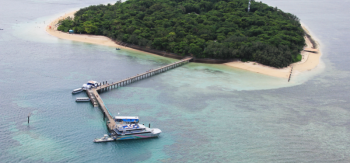 Amazing Australia Melbourne Cairns Gold Coast And Sydney Tour