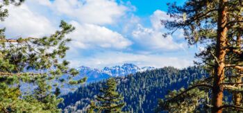 Georgia Escapade 7 Nights - 8 Days Tour