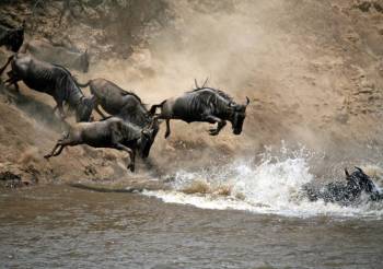 Manyara Tour Packages