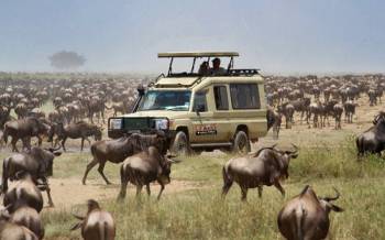 Ngorongoro Tour Packages