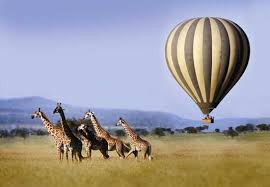 7-Day Honeymoon Bliss: Luxury Safari & Zanzibar Island Escape