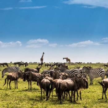 7-Day Honeymoon Bliss: Luxury Safari & Zanzibar Island Escape