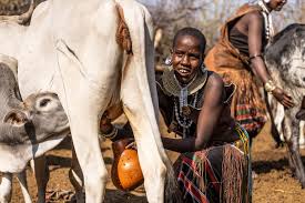 4-Day Amazing Tanzania Wildlife & Cultural Experience Safari