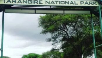 Tarangire & Ngorongoro in 2 Days – Departing from Zanzibar