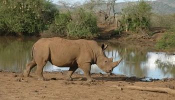 Tarangire & Ngorongoro in 2 Days – Departing from Zanzibar