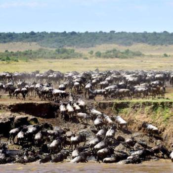 Unforgettable 8-Day Halal-Friendly Safari in Tanzania
