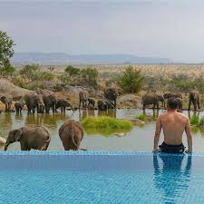 Unforgettable 8-Day Halal-Friendly Safari in Tanzania