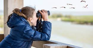 6-day Bird-watching Safari in Tanzania