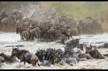 Ngorongoro Tour Packages