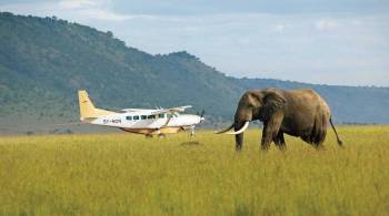 Ngorongoro Tour Packages