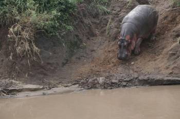 3 – Day from Zanzibar to Tarangire, Ngorongoro & Manyara