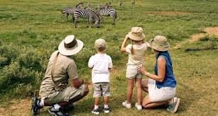 2-Day Fly-in Safari from Zanzibar to Serengeti & Ngorongoro Crater